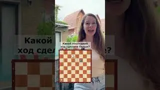 Шахматы ход назад 