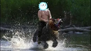 Just Another 2v5 Dota Game -- Wisper Plays Wisp [Io] + Fer the Bear [Ursa]