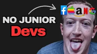 Why Junior Dev Jobs DON'T EXIST...