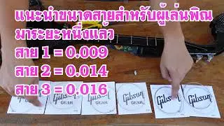 แนะนำขนาดสายพิณและวิธีเปลี่ยนสายพิณ