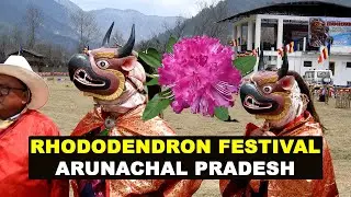 Arunachal Pradesh Rhododendron Festival Shergaon, West Kameng NEFA Tourism