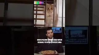 Время неприятных новостей  