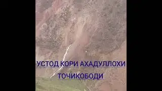 Бехтарин Мавлуд устод Кори АХАДУЛЛОХИ ТОЧИКОБОДИ лайка бшап