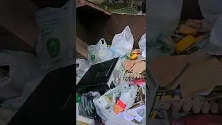 Старичок, ну как ты, живой? #dumpsterdiving #конкурентLive