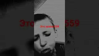 4 ноября 2023 г.