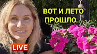 Отвечаю на вопросы подписчиков| болталка