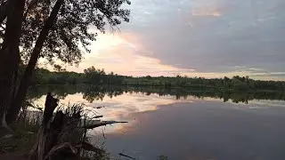 Проснуль в 4 утра и рванули рассвет встречать😄 на даче//Сделала прививку от Ковид- ощущения ..