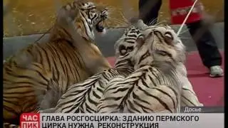 Генеральный директор компании РОСГОСЦИРК Дмитрий Иванов - Пермскому  цирку требуется реконструкция.