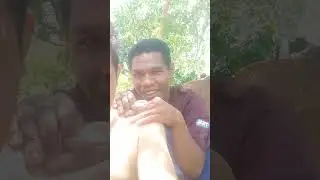 Comedi manggarai-Pande Apas Meu Ge 😂