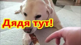 Мисси ты МОЛОДЕЦ!