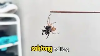 Itim pinalagan pa din yung dilaw