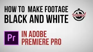 How to Make Footage Black and White in Adobe Premiere Pro
