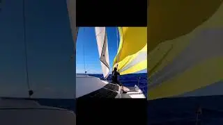 Let's Go Sailing! ⛵🌊 