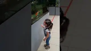 Karina looks at the fish in the zoo