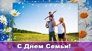 День Семьи. Ромашковое счастье