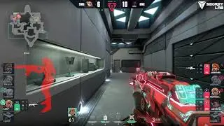 SMG Lexy ACE clutch