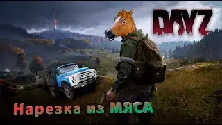 DayZ. Нарезка из мяса