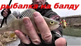 РЫБАЛКА НА БАЛДУ С БЕРЕГА