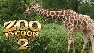 Reticulated Giraffe Exhibit - Zoo Tycoon 2