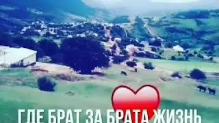 ТУРАГ