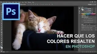 Como hacer que los colores resalten en Photoshop
