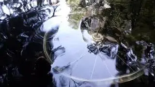 Zgobečena Shagoma feat Inner Well - Vrata Jarana (unmastered version)