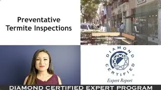 Diamond Certified Experts: Preventive Termite Inspections