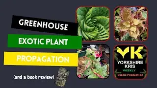 Exotic Gardening in the greenhouse and book review