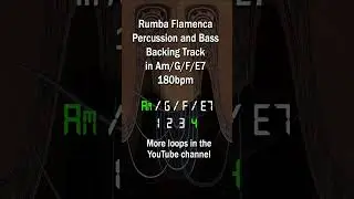 Rumba Flamenca Percussion and Bass Loop in Am/G/F/E7 