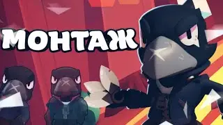ДОЛГОЖДАННЫЙ МОНТАЖИК| ДИКИЙ ВОРОН!