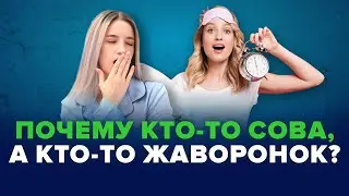 Поздно ложусь и поздно встаю. Совы и жаворонки.