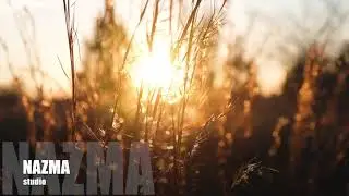 NAZMA studio_