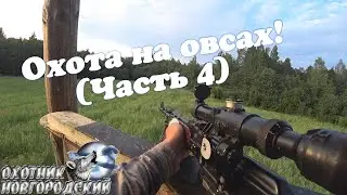 ОХОТА НА ОВСАХ!(Часть 4)