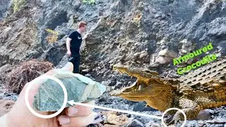 Fossil Crocodile! Paw From a 185 Million Year Old Beast