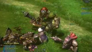 TERA ЗБТ 2 геймплей: Popori Slayer