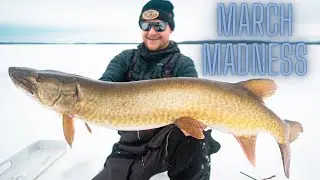 Ice Fishing Musky in March