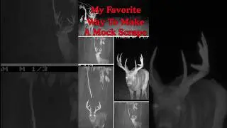 This is my new favorite way to make a mock scrape! #whitetail #bigbucks #fall