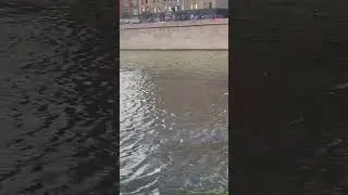 1 августа 2024 г.