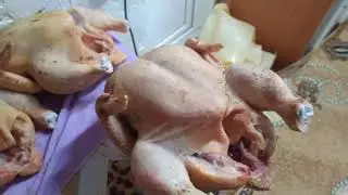 бройлеры 47 дней! Взвешиваю разделанную тушку!