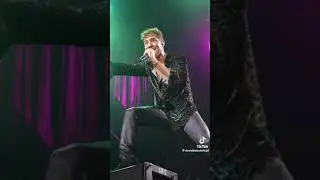 Bisbi en el concierto de Pamplona😍