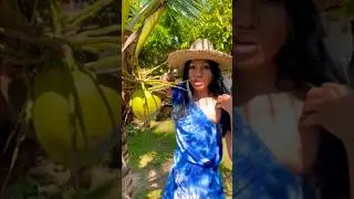 ❗️สดจากต้น ต้องจัดการ | Life in Thailand