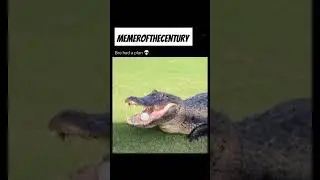 a regular meme part 1 || #motc || #funny || #memes