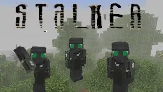 STALKER 1 серия(новичок)