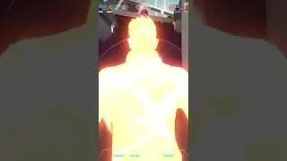 Phoenix ace 