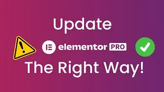 Correct way to update Elementor pro plugin