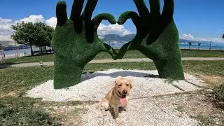 Дени приехал в Абрау-Дюрсо 🍇🍷Нагло искупался в озере 🙈 Пострелял из пушки в Новороссийске 🤭