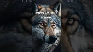 подпишись ❤️ тут интересно