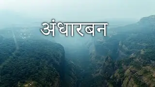 Andharban Jungle Trail | Dark Forest Of Maharashtra | Andharban Trek | The Most Scenic & Easy Trek