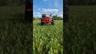 мотоблок