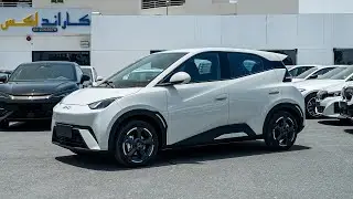 BYD Seagull Fly 2024